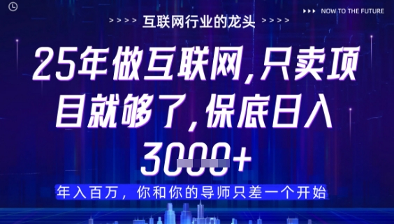 什么！25年你还在找项目做？风口早就变了，卖项目才是稳挣不赔【揭秘】-七量思维