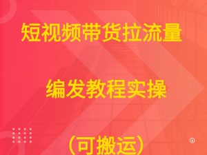 短视频带货拉流量  编发教程实操(可搬运)-七量思维