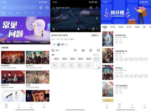 安卓地瓜视频v3.7.3绿化版-七量思维