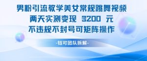 男粉引流教学美女常规跳舞视频两天实测变现1k+，不违规不封号可矩阵操作-七量思维