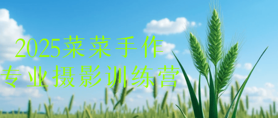 2025菜菜手作专业摄影训练营-七量思维