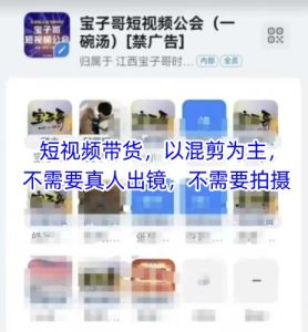 宝子哥头部团队短视频带货,以混剪为主,不需要真人出镜,不需要拍摄-七量思维
