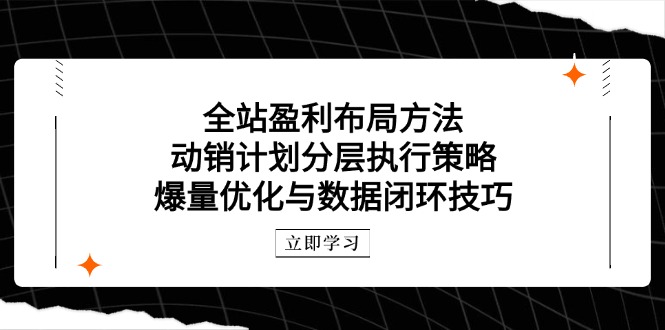 全站盈利布局方法：动销计划分层执行策略，爆量优化与数据闭环技巧-七量思维
