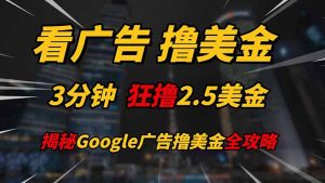 看广告，撸美金！！3分钟赚2.5美金！！日入200美金不是梦！揭秘Google…-七量思维