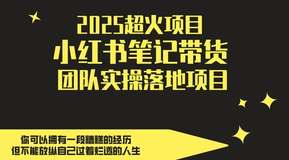 2025超火项目，副业最佳选择，小红书笔记带货团队实操落地项目，，轻松日入5张-七量思维