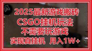 2025最新游戏搬砖,CSGO挂机,不需要玩游戏,实现真挂机,月入1W+-七量思维