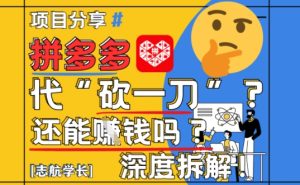 【2025最新】拼多多代坎助力项目深度拆解：还能挣钱吗?全流程玩法-七量思维