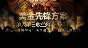 免费技术!小众赛道!一年布局抵三年努力,每日800+-七量思维