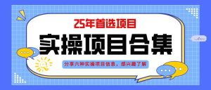 （14767期）2025年实操六大项目实操演练，挂机类型，AI直播类型，轻资产创业类型，…-七量思维