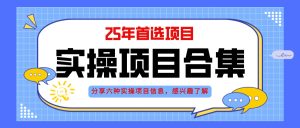 2025年实操六大项目实操演练,挂机类型,AI直播类型,轻资产创业类型,…-七量思维