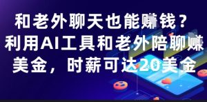 和老外聊天也能挣钱?利用AI工具和老外陪聊挣美金,时薪可达20刀-七量思维