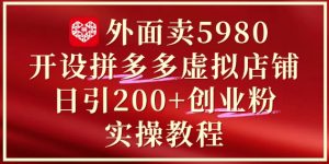 外面卖5980开设拼多多虚拟店铺：单日引流200+创业付费粉实战教程-七量思维
