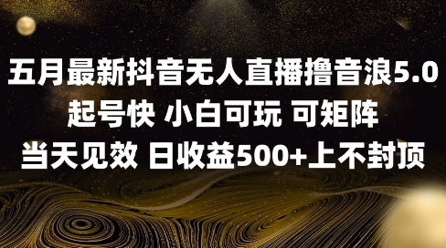 2025五月最新无人直播撸音浪单日产出5张+实操教程【揭秘】-七量思维