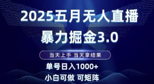 2025五月无人直播暴力掘金3.0，当天上手，当天拿结果，单号日入1k+小白可做可矩阵【揭秘】-七量思维