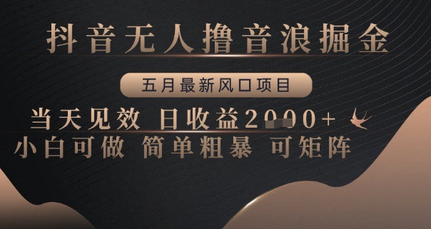 抖音无人撸音浪掘金，五月最新风口项目，当天见效，日收益多张，小白可做简单粗暴可矩阵【揭秘】-七量思维