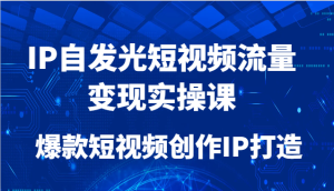 IP自发光短视频流量变现实操课，爆款短视频创作IP打造-七量思维