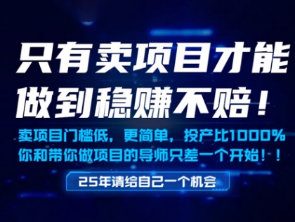 只有卖项目才能做到稳挣不赔，门槛低，更简单，你也可以年入百个W【揭秘】-七量思维
