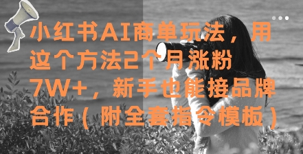 小红书AI商单玩法，用这个方法2个月涨粉7W+，新手也能接品牌合作(附全套指令模板)-七量思维
