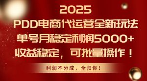 2025PDD电商代运营全新玩法,单号月稳定利润5000+,收益稳定,可批量操作-七量思维