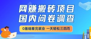 网创搬砖项目,国内问卷调查,小白轻松上手,一天三四张的也不难,干就完了【揭秘】-七量思维
