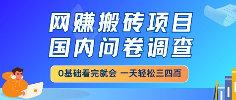网创搬砖项目，国内问卷调查，小白轻松上手，一天三四张的也不难，干就完了【揭秘】-七量思维