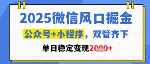 2025微信风口掘金,公众号+小程序双管齐下,单日稳定变现1k+【揭秘】-七量思维