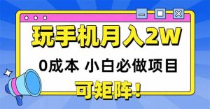 玩玩手机月入20000+，0成本小白必做项目，可矩阵-七量思维