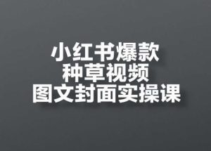 小红书爆款种草视频图文封面实操课,开店、选品、引流、变现全流程-七量思维