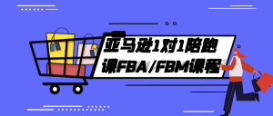 亚马逊1对1陪跑课FBA/FBM课程-七量思维