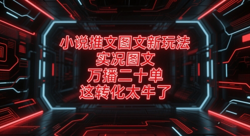 小说推文图文新玩法，实况图文，万播二十单，这转化太牛了！-七量思维
