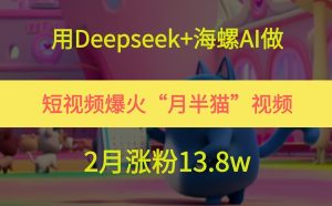 用Deepseek+海螺AI做短视频爆火“月半猫”视频，2月涨粉13.8w-七量思维