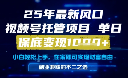 25年最新风口，视频号托管项目，单日保底变现1k+，手把手教学【揭秘】-七量思维