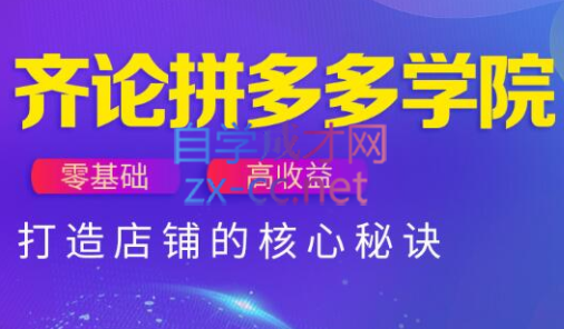 齐论拼多多vip课程-七量思维
