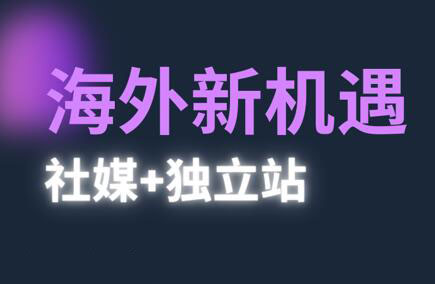 棕榈·2025出海新机遇(社媒+独立站)-七量思维