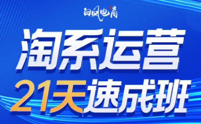 白凤电商·淘系运营21天速成班(更新5月)-七量思维