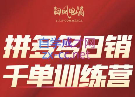 白凤电商·拼多多日销千单训练营(更新3月)-七量思维