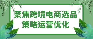 聚焦跨境电商选品策略运营优化-七量思维