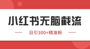 小红书截流同行客源，独家野路子获客玩法 日引200+暴力获客【揭秘】-七量思维