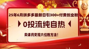 25年6月拼多多最新日引300+付费创业粉,0投流纯自热 卖课月变现六位数方法-七量思维