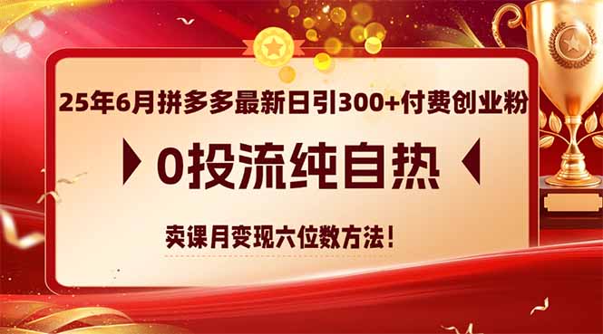 25年6月拼多多最新日引300+付费创业粉，0投流纯自热 卖课月变现六位数方法-七量思维