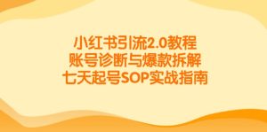 小红书引流2.0教程，账号诊断与爆款拆解，七天起号SOP实战指南-七量思维