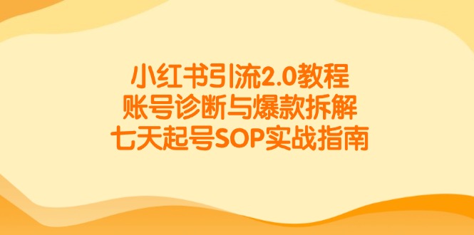 小红书引流2.0教程，账号诊断与爆款拆解，七天起号SOP实战指南-七量思维