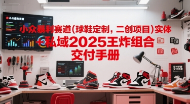 小众暴利赛道(球鞋定制，二创项目)实体+私域2025王炸组合  交付手册-七量思维