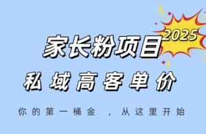 家长粉项目,一个可以长期变现暴利项目,私域高客单价,轻松完成你的人生第一桶金-七量思维