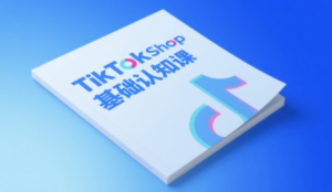 梨子姐姐·TikTok小店基础认知课-七量思维