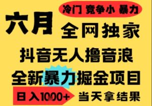 25年6月高爆抖音无人直播最新撸音浪掘金项目,小白可做,无脑日入1k+,门槛低可批量矩阵【揭秘】-七量思维