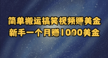 简单搬运搞笑视频挣美金，新手一个月入1k美金-七量思维