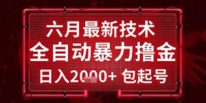 六月最新技术全自动暴力撸金,稳定日入2k+包起号,长期稳定【揭秘】-七量思维