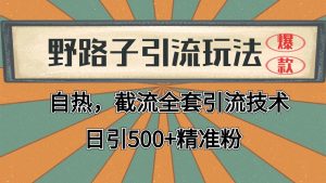 2024首发野路子引流玩法截流自热全平台打法，全自动引流【日引2000+精准客户】-七量思维