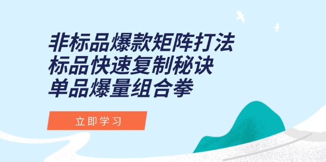 非标品爆款矩阵打法，标品快速复制秘诀，单品爆量组合拳-七量思维